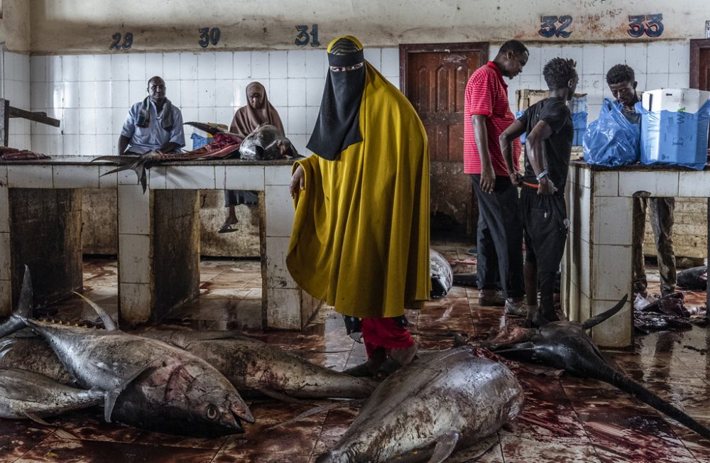 A woman steps carefully over fish on the ground in the Hamar Weyne fish market in Mogadishu, Somalia. 27 November 2022.

The Hamar Weyne fish market in Mogadishu is a bustling hub for the sale and distribution of fish in the city. Located just a few meters from the old port, the market is a key destination for both local and international buyers. Fishermen and porters bring their daily catch to the market, where traders and buyers negotiate prices for different types of fish.