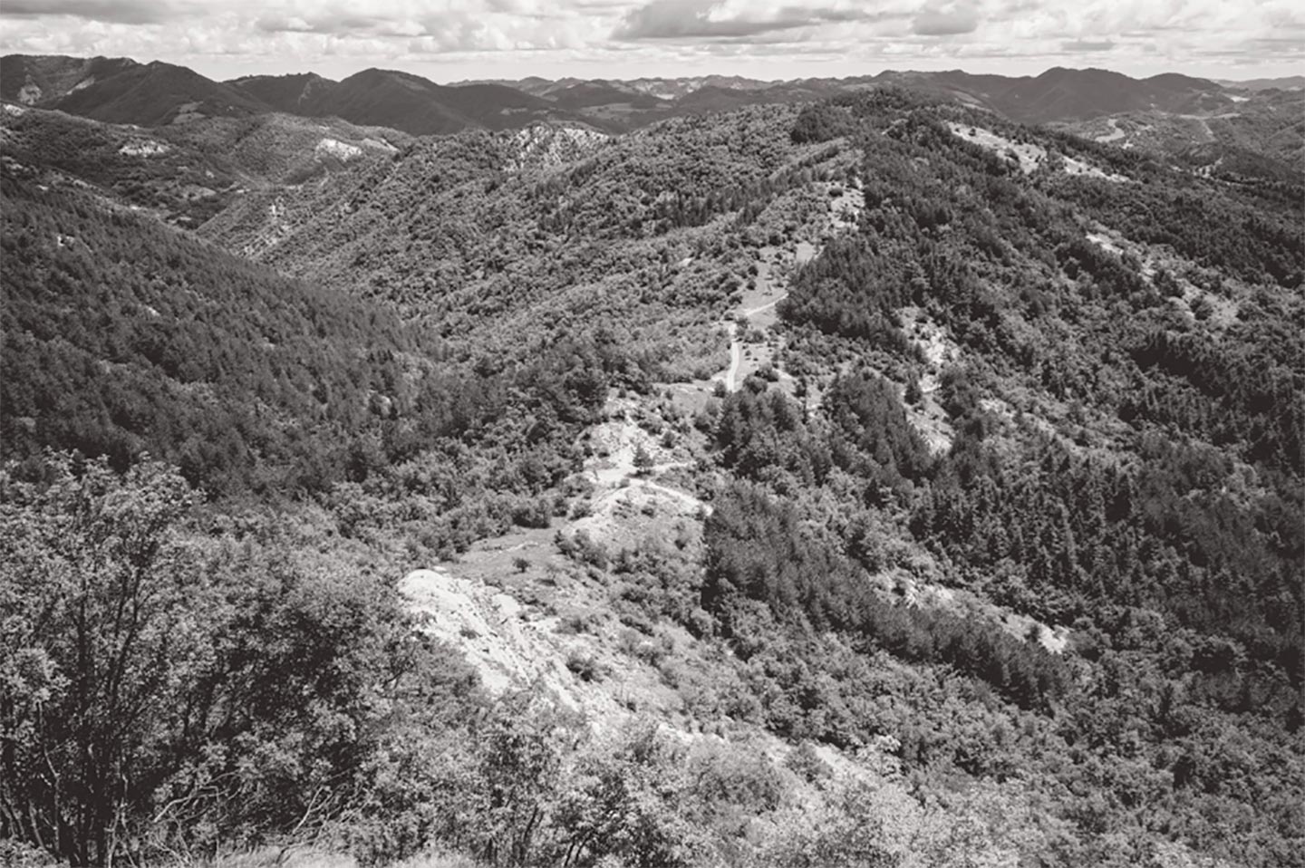 Emiliano Cribari autore del libro Invito nei boschi: fotografie e poesie in cammino